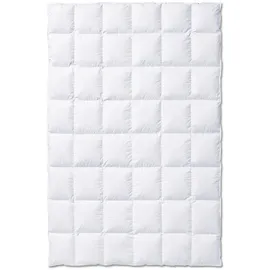 Kauffmann Exclusive warm - 155x220cm