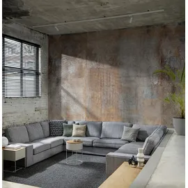 Rasch Textil Rasch Digitaldruck Factory V Metall Rostbraun 2,65 x 3,71 m