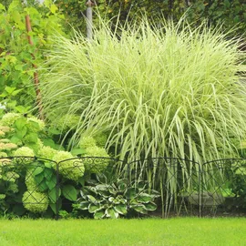 Relaxdays Beetzaun, 4-teilige Beetumrandung für Garten, Dekozaun Metall, antikes Design, HxB: 41,5 x 245 cm, schwarz