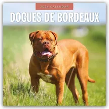 brown trout-auslieferer flechsig Dogues de Bordeaux – Bordeauxdoggen – Bordeaux Doggen 2026 – 16-Monatskalender: