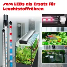 Sera Aquarienbeleuchtung LED X-Change Tube cool daylight 660 mm