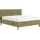 Home Affaire Polsterbett HOME AFFAIRE "Noan", grün (olive), B:178cm H:118cm L:218cm, Betten, Polsterbett, Bettkasten, Lattenrahmen mit Gasdruckfedern, auch mit 7-Zonen-Matratze
