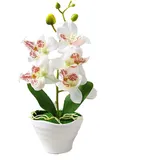 Bezaubernde künstliche Orchidee im Topf für Büro und Zuhause, Blumenarrangement (C)