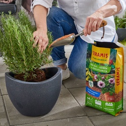 Seramis Pflanz-Granulat für Beet- Balkon- & Kübelpflanzen 12,5 L