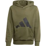 adidas Essentials Big Logo Kapuzenpullover Olive Strata / Black 164