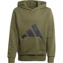 adidas Essentials Big Logo Kapuzenpullover Olive Strata / Black 164