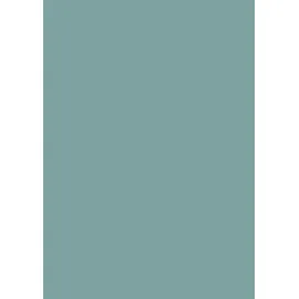 Brunnen Multifunktionspapier A4 80 g/m2 50 Blatt