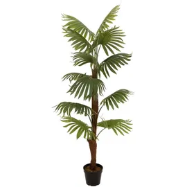 Europalms Fächerpalme, Kunstpflanze, 155cm