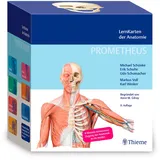 PROMETHEUS Lernkarten der Anatomie, 483Karten