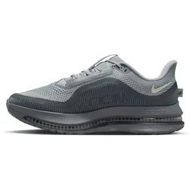 Nike Pegasus Premium Herren Wolf Grey/Cool Grey/Anthracite/Sail 45,5