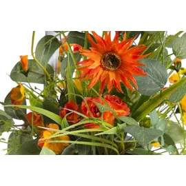 Botanic-Haus Sommerblumen orange