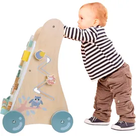 Bayer Chic 2000 Activity-Walker,