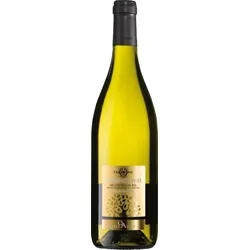 Querci Antica Verdicchio Dei Castelli Di Jesi Classico Velenosi 2022 - 6Fl. á 0.75l