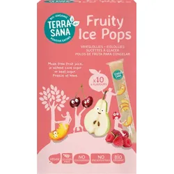Terrasana Eislollies Frucht bio (10St)