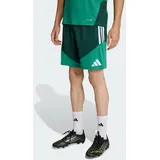 adidas Algerien Trainingsshorts 2026 grün Herren Gr. XXL