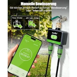 RAINPOINT Bewässerungscomputer 2 Ausgänge schwarz