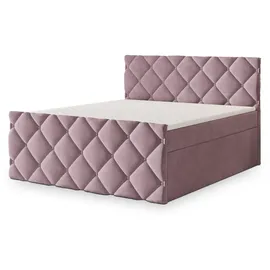 masseno ROVARI 160 x 200 cm Rosa