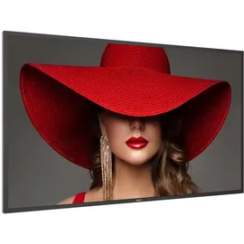 Philips D-Line 55BDL4650D 55" schwarz