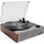 Victrola Eastwood II Braun