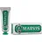 Zahnpasta Classic Strong Mint 25 ml