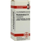 DHU-ARZNEIMITTEL RHODODENDRON D 4