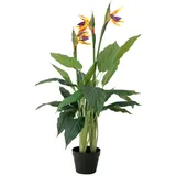 Europalms Strelizie, Kunstpflanze, 90cm