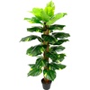 Kunstpflanze I.GE.A. Kunstpflanzen Gr. B/H: 60 cm x 120 cm, 1 St., grün Künstliche Zimmerpflanzen