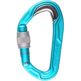 Edelrid Bulletproof Screw VPE5 Schraubkarabiner icemint