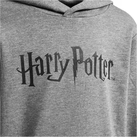 hummel hmlHARRY POTTER Hoodie Jungen 2800 medium melange 104