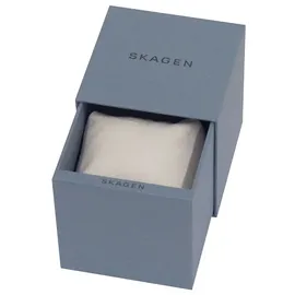 Skagen Grenen Mesh 37 mm T233XLTMN