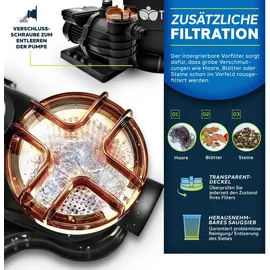 tillvex Sandfilteranlage schwarz 13.200 l/h