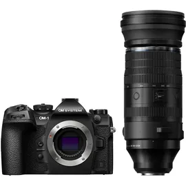 OM System OM-1 II + M.Zuiko Digital ED 150-600mm f/5,0-6,3 IS