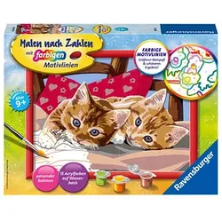 Ravensburger Malen-nach-Zahlen Zwei Schmusekätzchen mehrfarbig