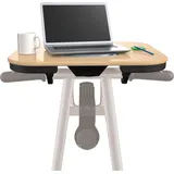 Horizon Fitness Citta BT braun