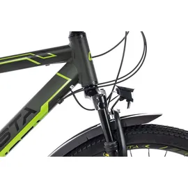Ciclista Adventure 29 Disc All-Terrain-Bike ab 14 Jahren 29 Zoll Grün 53 cm - Grün