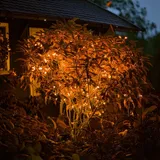 esotec Solar Lichterkette 6 m Kunststoff 60 LEDs Bernstein