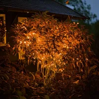 esotec Solar Lichterkette 6 m Kunststoff 60 LEDs Bernstein