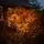 esotec Solar Lichterkette 6 m Kunststoff 60 LEDs Bernstein