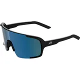 Alpina Lumin black matt schwarz