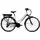 Zündapp Z802 2023 28 Zoll RH 48 cm Damen weiß/lila