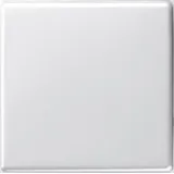 Gira Wechselschalter System 55