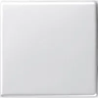 Gira Wechselschalter System 55