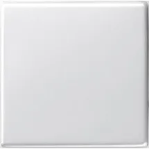 Gira Wechselschalter System 55
