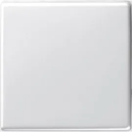 Gira Wechselschalter System 55