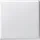 Gira Wechselschalter System 55
