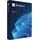 Microsoft Windows 11 Pro USB-Stick DSP/SB DE