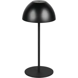 Trio Ortiz Schwarz 2 W