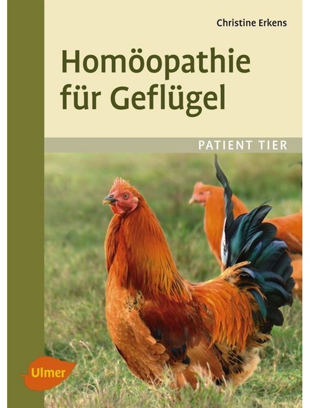 Homöopathie Für Geflügel - Christine Erkens  Kartoniert (TB)