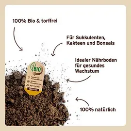 Substral Naturen Sukkulenten & Kakteenerde Bio & Torffrei 5 l