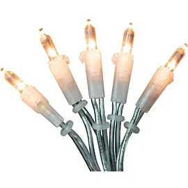 EGB LED-Lichterkette 100 LEDs 20 m Grün